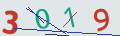verifycode
